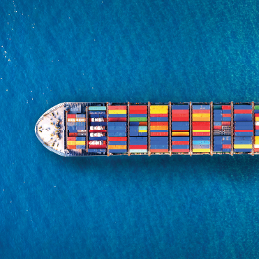 Ocean Freight (FCL / LCL)